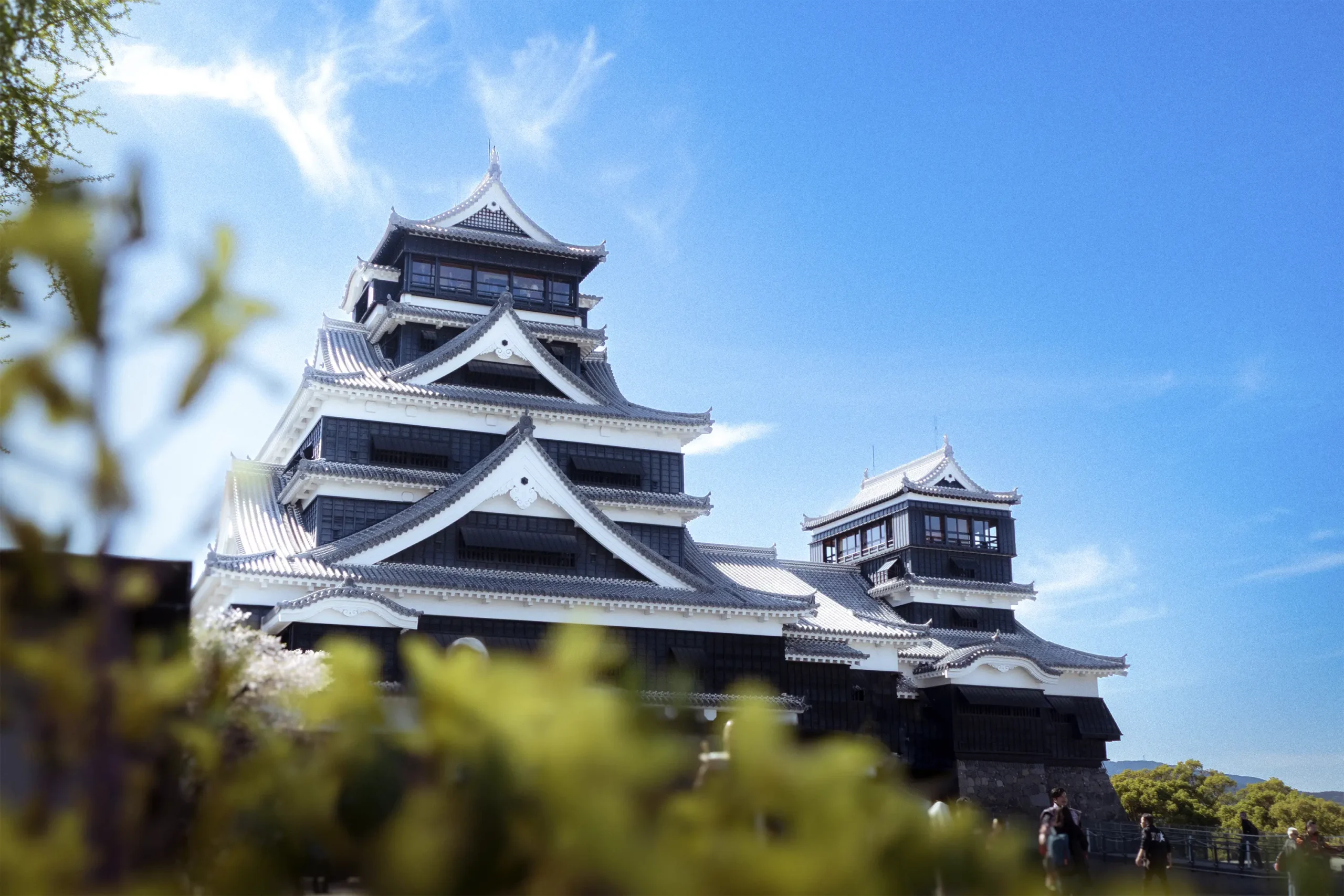 Photograph-1